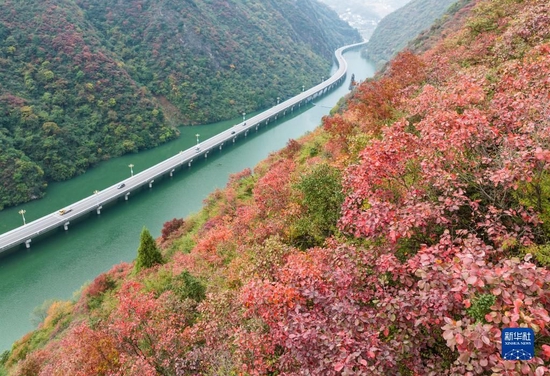 宜昌：“水上公路”入画来