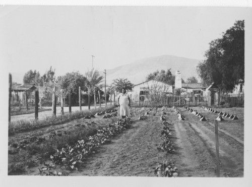 “…With silverbells and cockleshells…” So, how does your garden grow? April 14th marks National Gardening Day! This day allows seasoned home gardeners to learn even more about their gardens and different plants and to share their knowledge with...