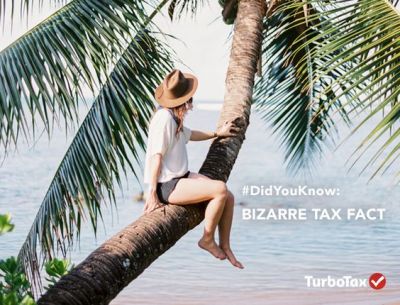 Did you know Hawaiians with “exceptional” trees in their yards can claim up to $3,000 to maintain them?
Tree or not, you can be exceptional & get your taxes done ahead of the deadline. Let TurboTax help you plan now for filing next year.