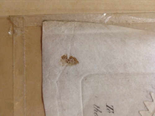 The left edge of this parchment passport was stuck in tape sealing an old encapsulation. The encapsulation was carefully cut open and the tape was removed from the parchment. The document was surface cleaned and the paper seal was mended before being...