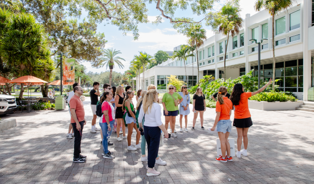 P100s lead a group tour.