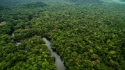 Amazônia Brasileira