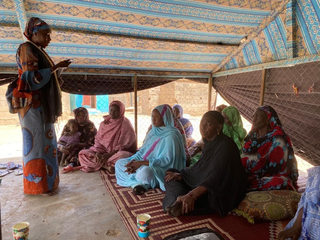 Article : Femmes du Guidimagha : « à quand le retour de la clinique mobile de la Santé ? »