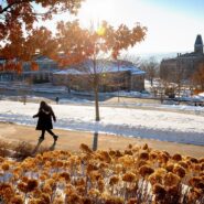 Afternoon sun adds a touch of warmth to central campus.