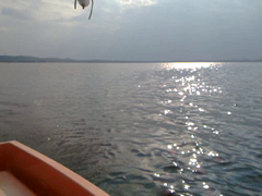 Photo of reflections on Müggelsee