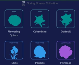 Spring Flowers Collection