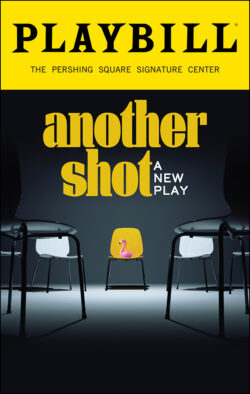 Playbill Discount for Another Shot