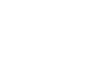 SAFE logo