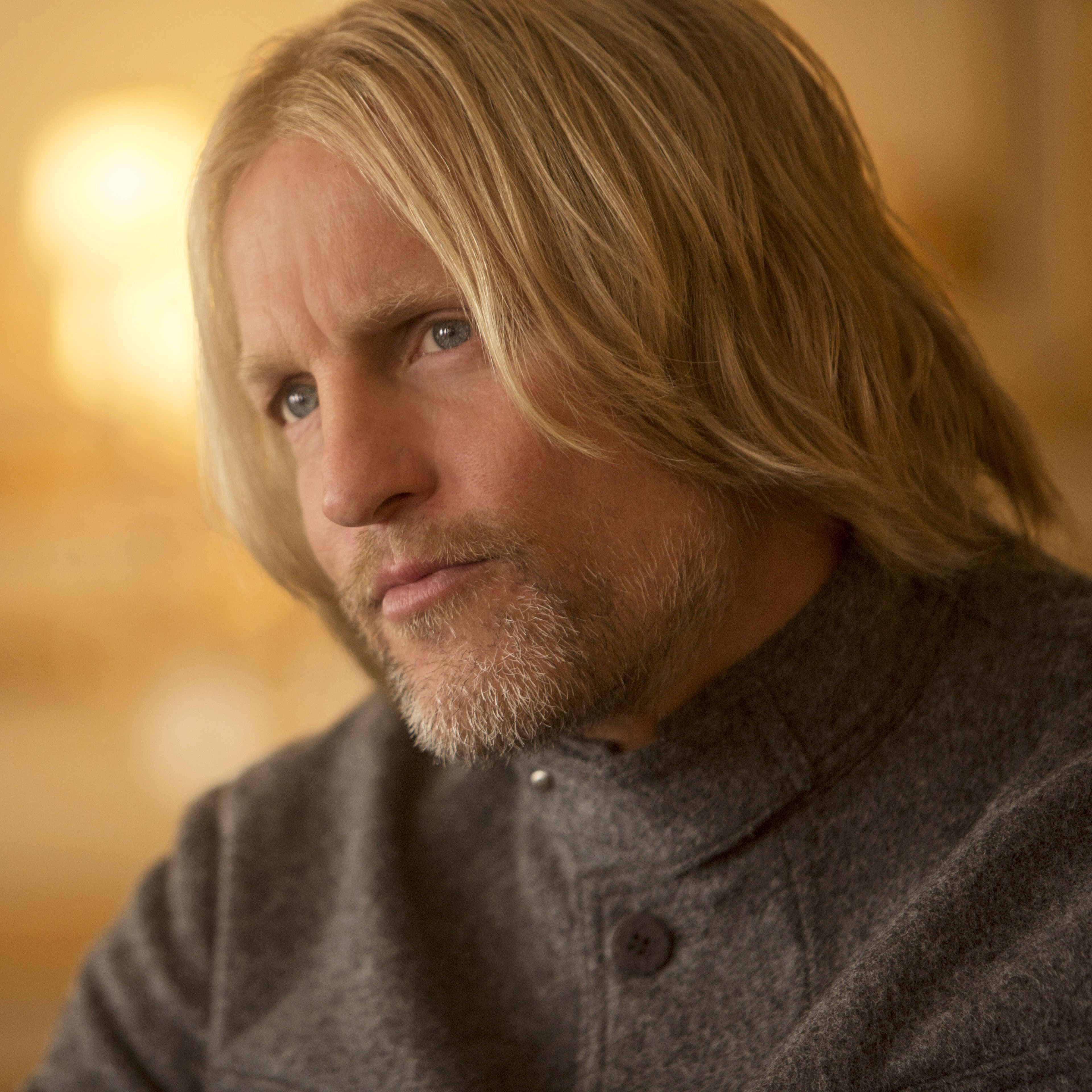 Hunger Games: Sunrise on the Reaping Reveals Young Haymitch Plot, Book Cover