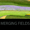 @MergingFields