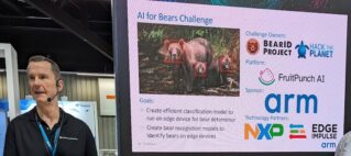 AI for Bears Challenge