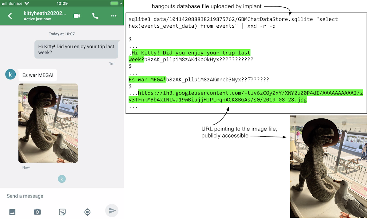 This image contains a screenshot of a hangouts chat session on the left, where the participants have sent text messages to each other and also shared a photo of a model T-Rex wearing a hat standing next to a seagull. On the right is a dump of the GMBChatDataStore.sqllite file clearly showing the plain-text of the exchanged messages, along with a URL from which it's possible to download the photo of the T-Rex.