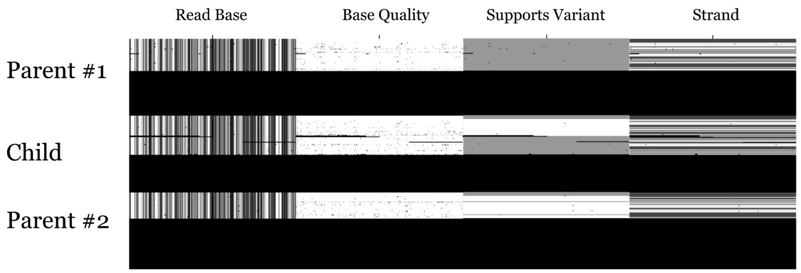 An image of 4 of the channels that DeepTrio uses in classification (these, and 4 other channels are shown in a stack.