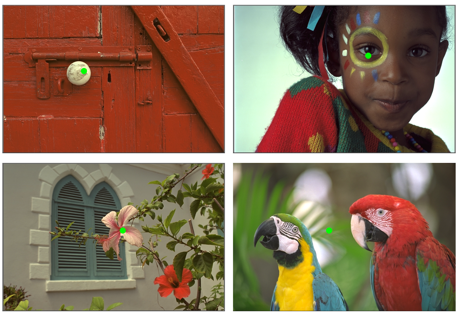 Four images in quadrants as follows: A red door with brass doorknob in top left quadrant, headshot of a brown skinned girl waering a colorful sweater and ribbons in her hair and painted face smiling at the camera in the top right quadrant, A teal shuttered catherdral style window against a sand colored stucco wall with pink and red hibiscus in the forefront in the bottom left quadrant, A blue and yellow macaw and red and green macaw next to each other in the bottom right quadrant