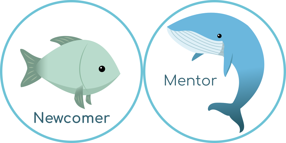 Newcomer and Mentor sticker designs