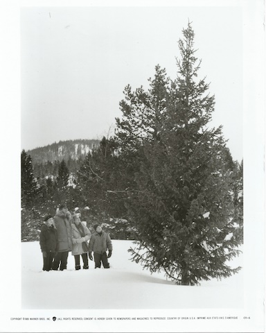 National Lampoon's Christmas Vacation being filmed in Breckenridge - tree scene