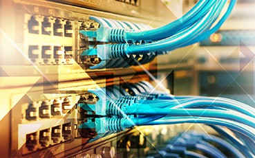 Closeup view of cables plugged into a server network panel with lights indicating activity