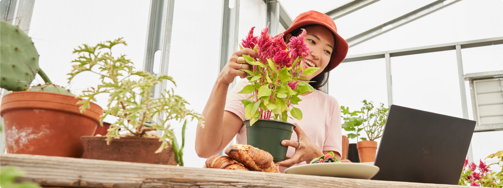 Woman handling a plant looking at her laptop