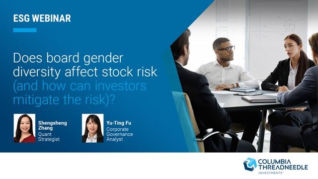 ESG Webinar:  Does board gender diversity affect stock risk (and how can investors mitigate the risk)?