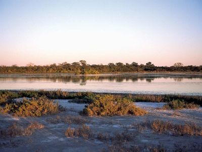 Salt marshes in the Gran Chaco region of Paraguay.