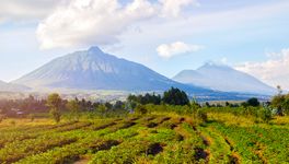 Virunga Mountains