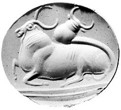 seal stone