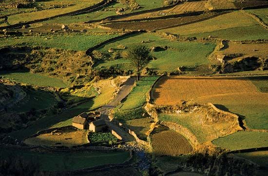 Colca valley, Chivay, Peru