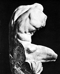 Apollonius: Belvedere Torso