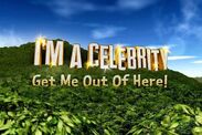 im celeb celebrity arrivals expert body language 