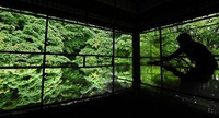 Green maple leaves are reflected on a desk for copying sutras at Rurikoin temple in Kyoto's Sakyo Ward on May 21, 2021. (Mainichi/Kazuki Yamazaki)