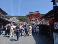 Tourist crowds in Kyoto (Damian Flanagan) 