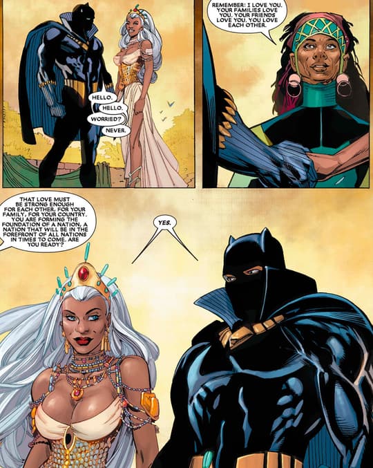 Storm and Black Panther