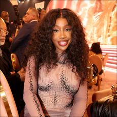 Sza admits she "was scared to go over to Beyoncé" during the Grammy Awards.