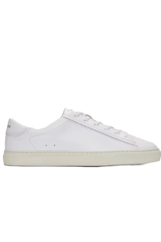 Best Work Sneakers 2024 | Everlane Day Sneaker