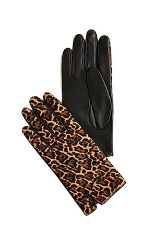 Leopard-Print Calf Hair and Leather Touch-Tech Gloves