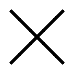 x icon