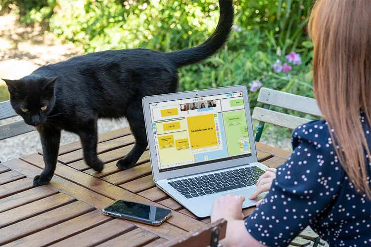 Woman working remotely on desktop with cat on table