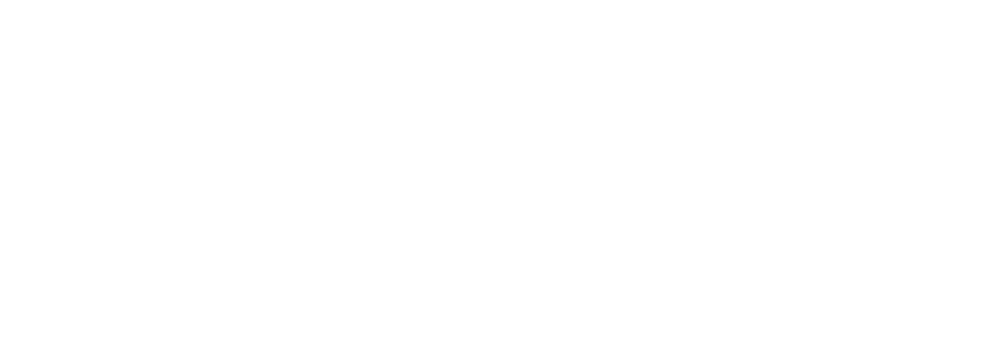 Salipointp logo