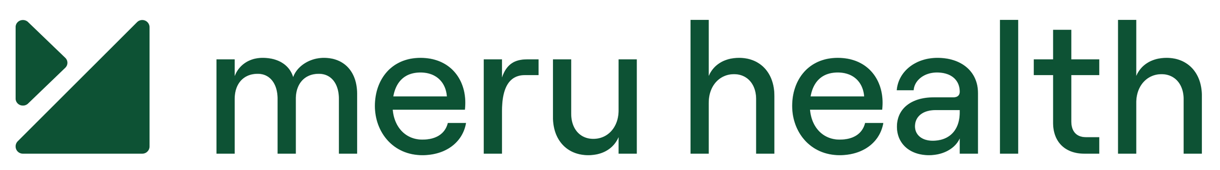 Meru Health Logo