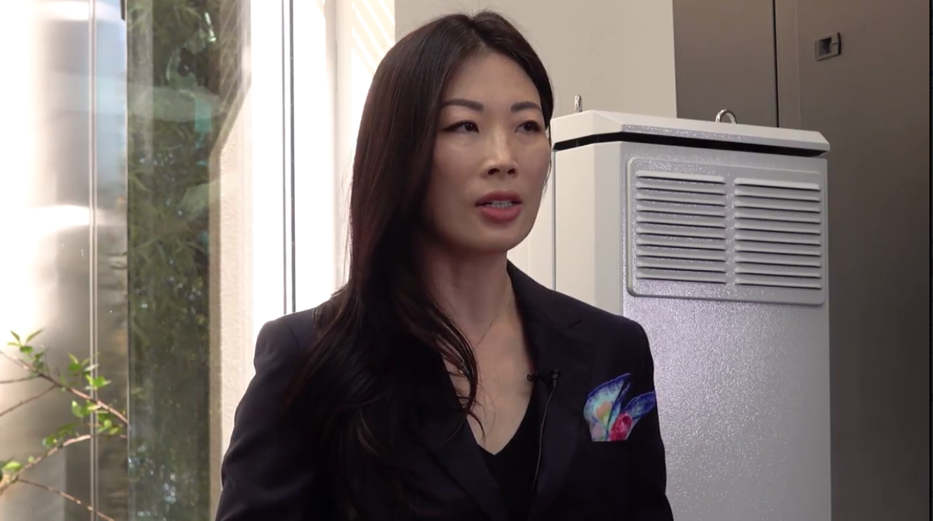 An image of a woman speaking in front of computer equipment