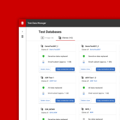 Redgate Test Data Manager screenshot