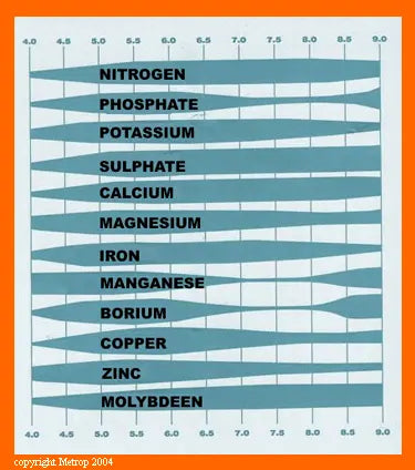 Best Hydroponic pH value