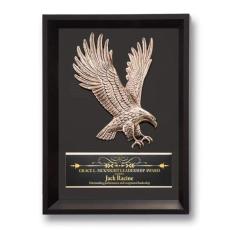 Employee Awards - Framed Eagle 