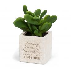 Employee Gifts - Personalized Mini Stone Succulent