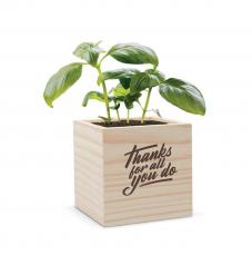 Employee Gifts - Thanks for All You Do Plant Cube