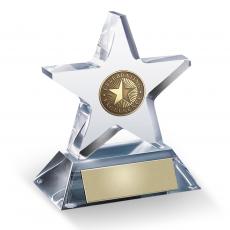 Employee Gifts - Star Performance Acrylic Award