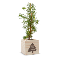 Employee Gifts - Holiday Tree Personalized Plant Cube