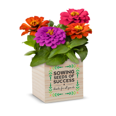 Employee Gifts - Sowing Seeds of Success Flower Planter Cube