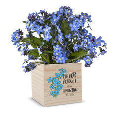 Employee Gifts - Never Forget How Amazing You Are Flower Planter Cube