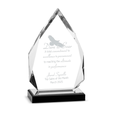 Employee Gifts - Silver Diamond Reflection Acrylic Award